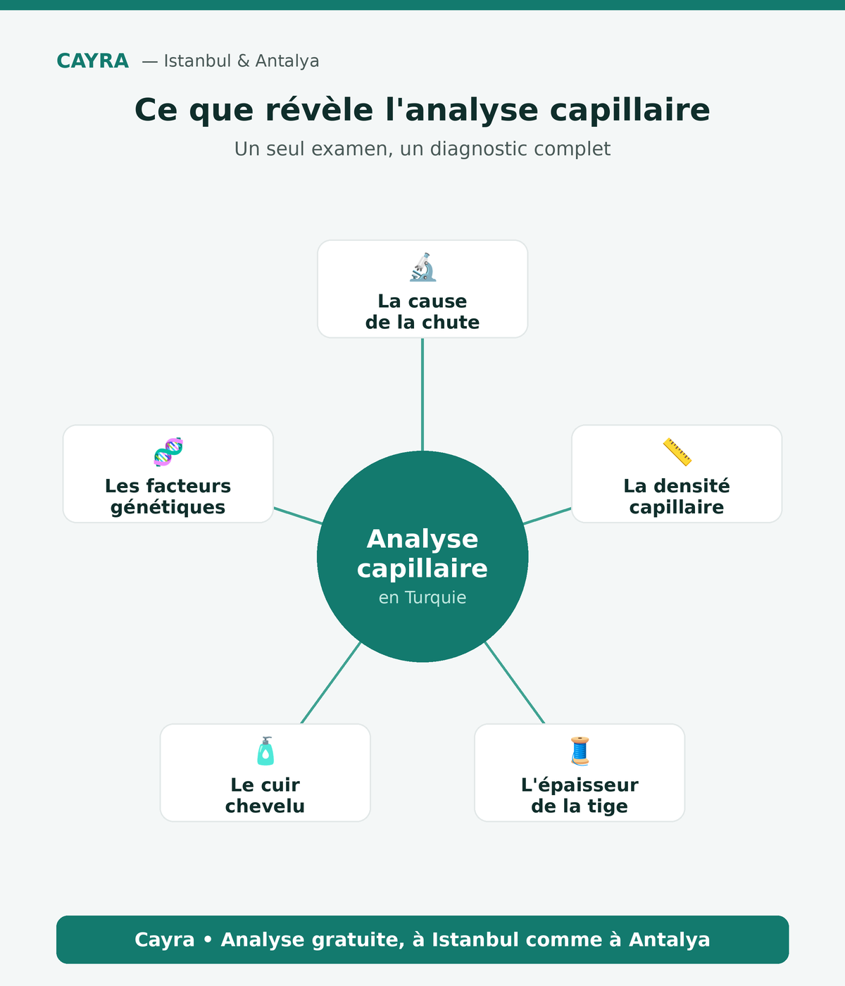 analyse capillaire en Turquie : ce qu'elle révèle (cause, densité, cuir chevelu) — Cayra 