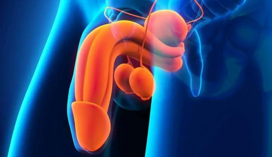 la pénoplastie en turquie 2025