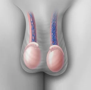 Opération varicocèle : 7 points clés en Turquie