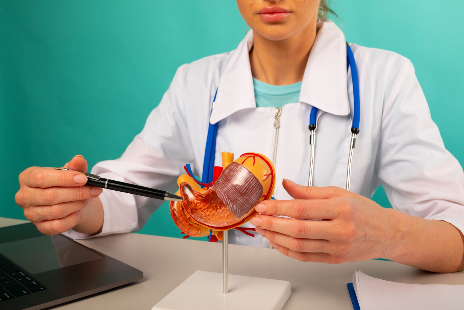 Évaluation bariatrique et conseils nutritionnels personnalisés avant l opération